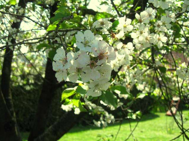 Grundstück zu verkaufen in Kölleda 55.269 € 621 m² zimmer