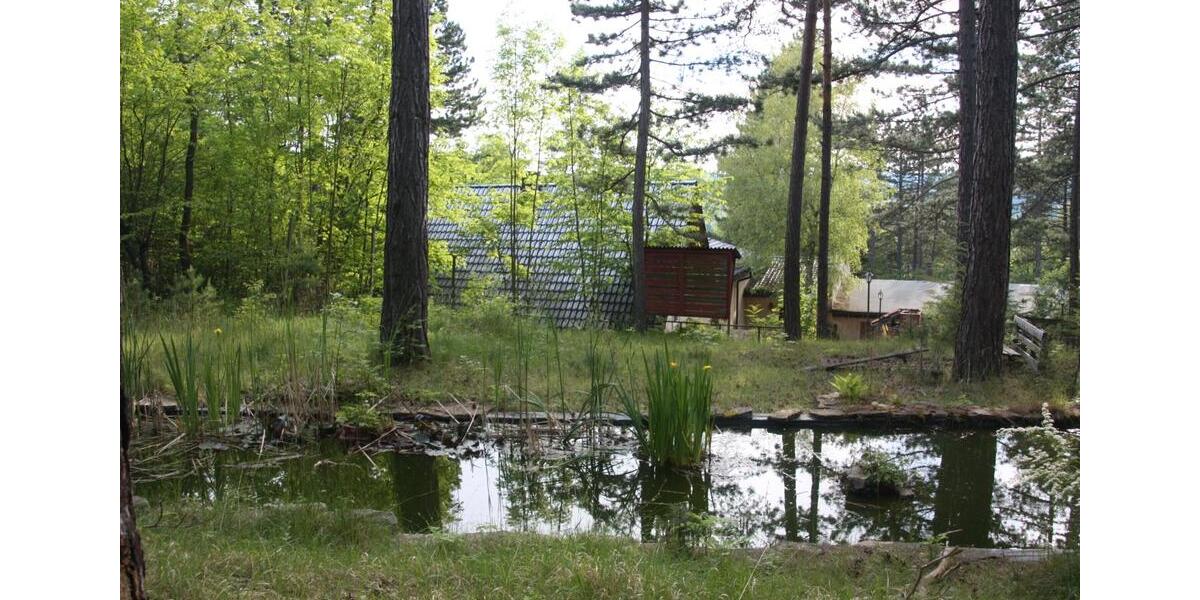 Einfamilienhaus Plaue - 290.000&euro; | Angebot:26818214