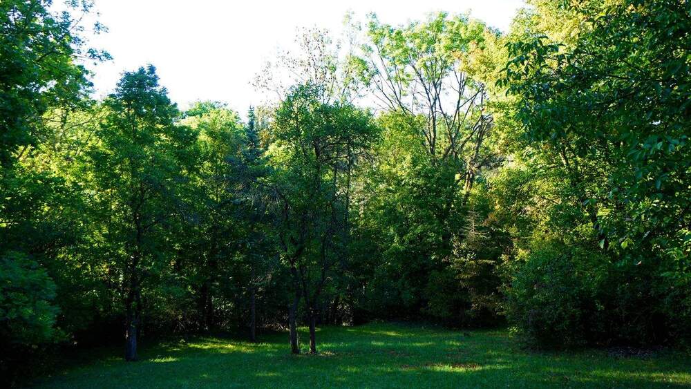 Grundstück Erfurt Möbisburg-Rhoda - 199.000&euro; | Angebot:25819650