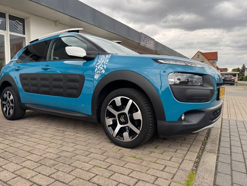 C4 Cactus