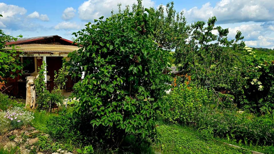 Grundstück Erfurt Hochheim - 3.450&euro; | Angebot:25908246