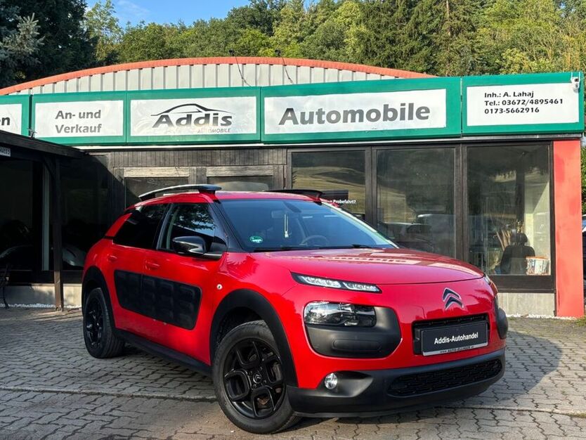 C4 Cactus