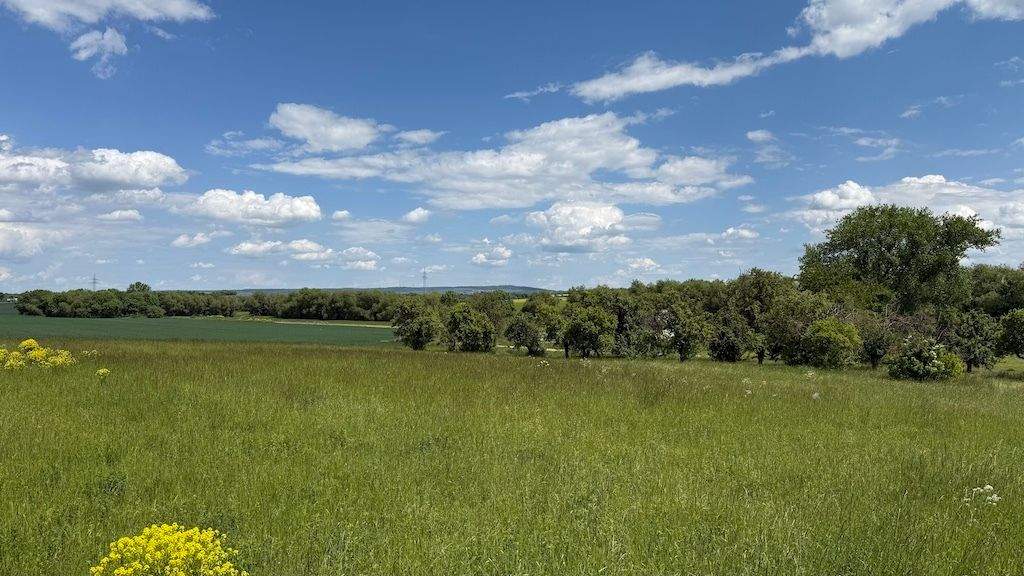 Grundstück Arnstadt Marlishausen - 141.600&euro; | Angebot:23478776