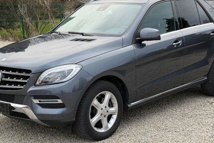 Mercedes-Benz ML 250 190.543 km 13.800 &euro; Arnstadt 99334