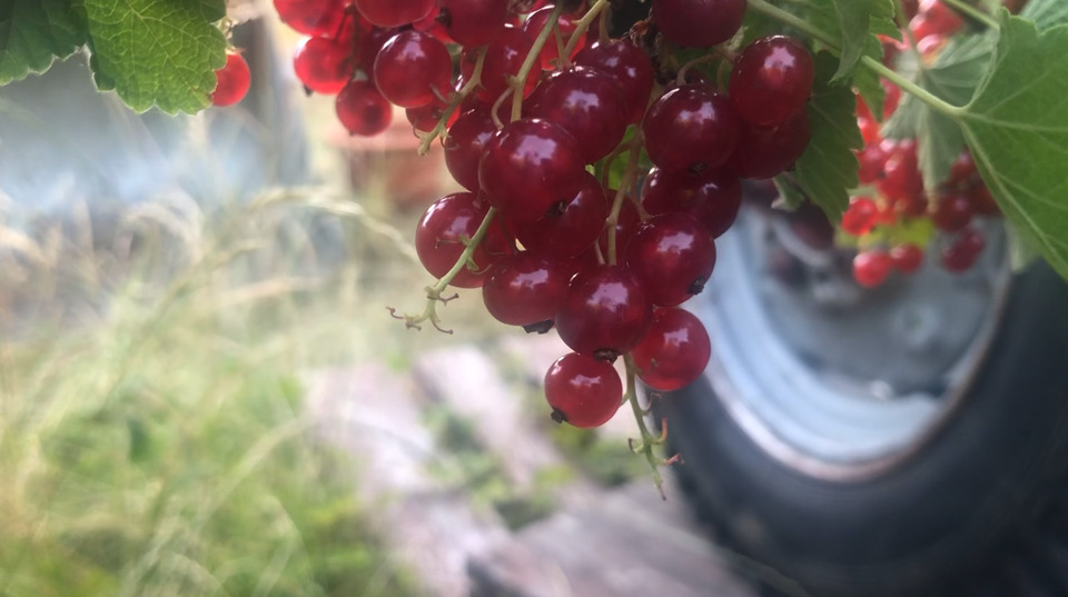 Einfamilienhaus Arnstadt - 89.000&euro; | Angebot:25612461