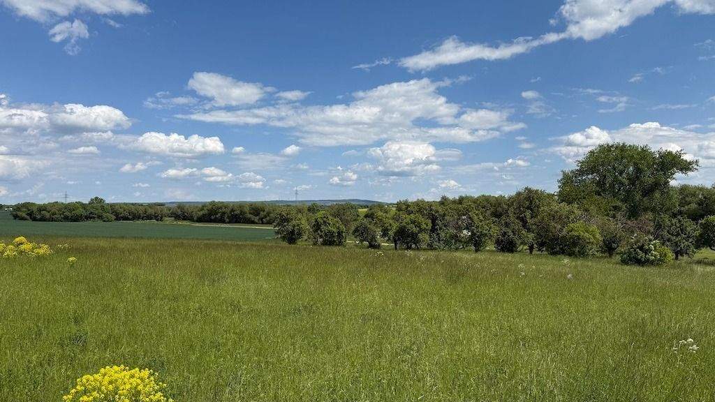 Grundstück Arnstadt Marlishausen - 143.680&euro; | Angebot:24027058