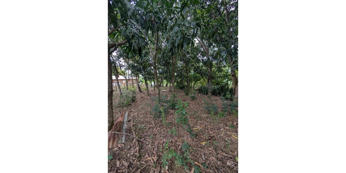 Einfamilienhaus Erfurt Hochheim - 28.500&euro; | Angebot:25830338