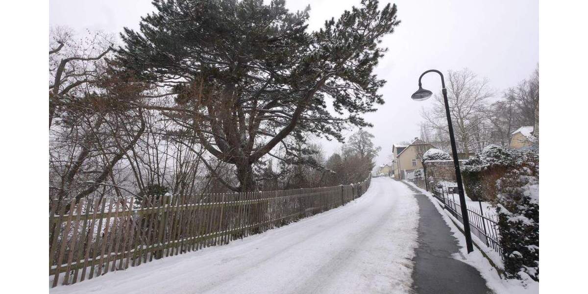 Etagenwohnung Weimar Parkvorstadt - 4 Zimmer, 122 m&sup2;, 425.000&euro; | Angebot:24789092