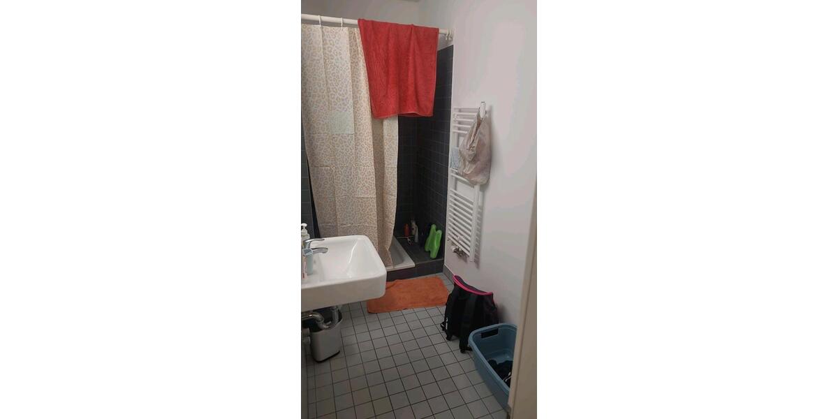 1-Raum-Wohnung in Greifswald zimmer