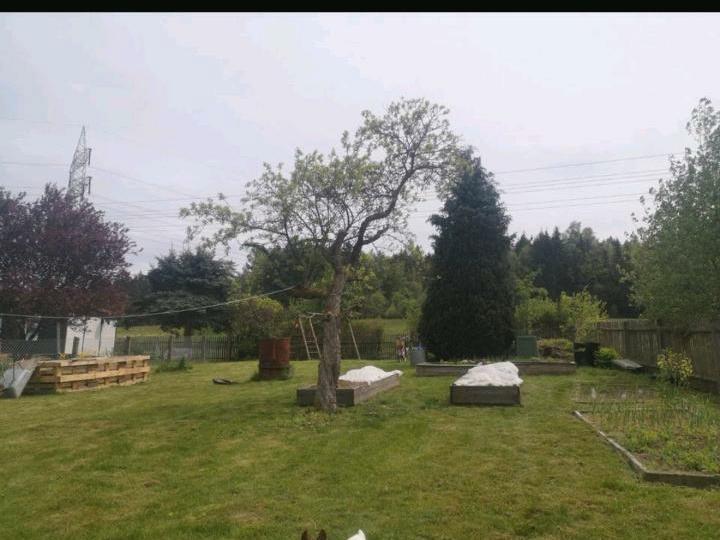 Grundstück Erfurt Johannesvorstadt - 70&euro; | Angebot:25770203