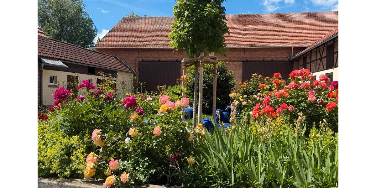 Bauernhaus, Landhaus Erfurt Linderbach - 7 Zimmer, 270 m&sup2;, 1.198.000&euro; | Angebot:27018996