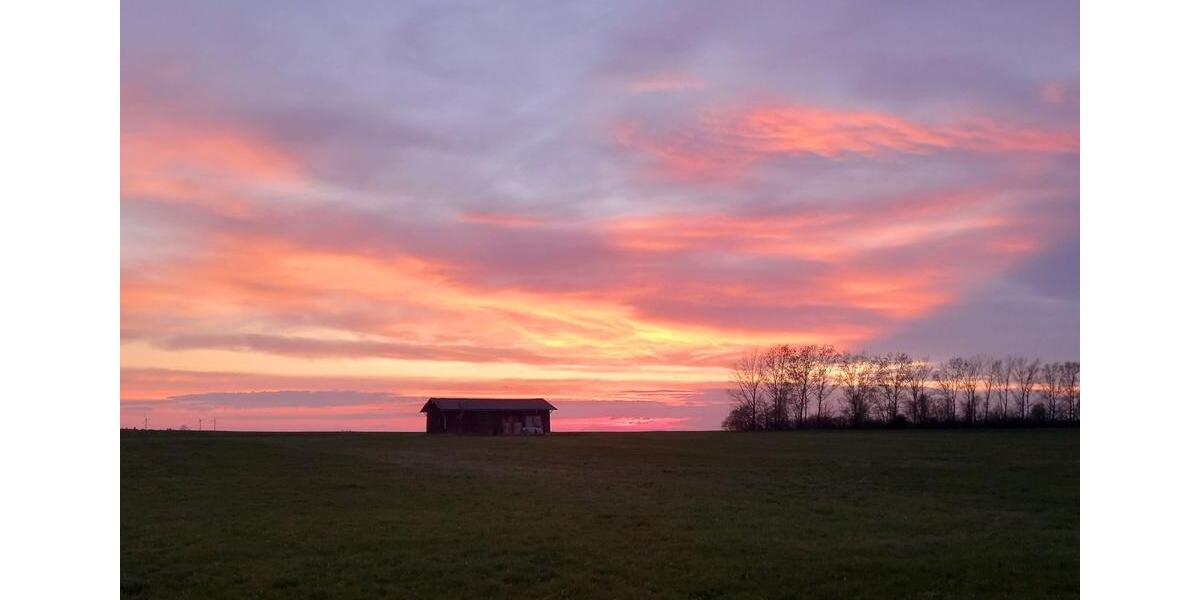 Grundstück Blankenhain - 7.950&euro; | Angebot:20269682