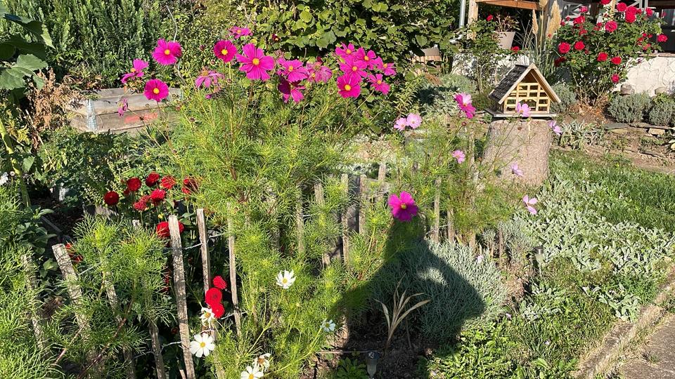 Grundstück Erfurt Daberstedt | Angebot:25372633